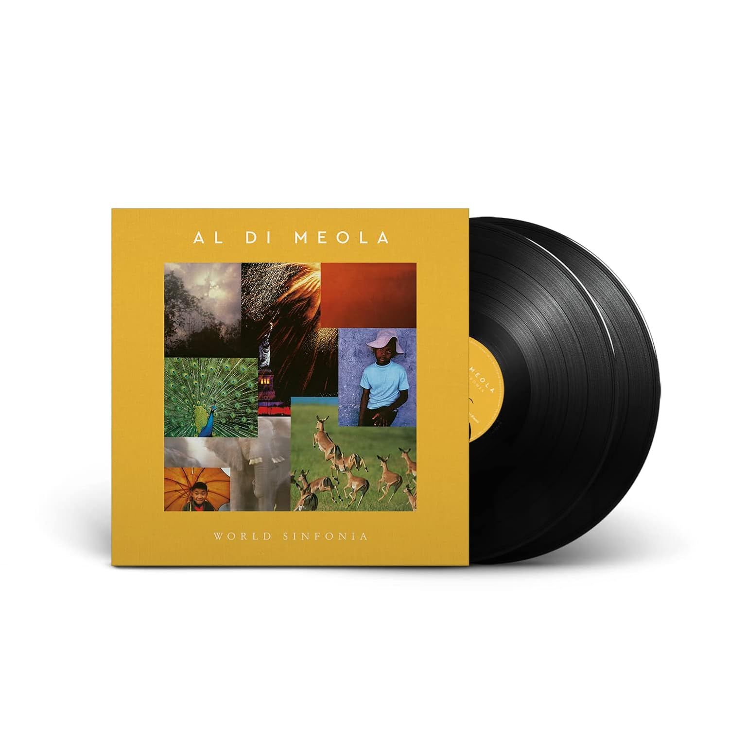 World Sinfonia album by Al Di Meola